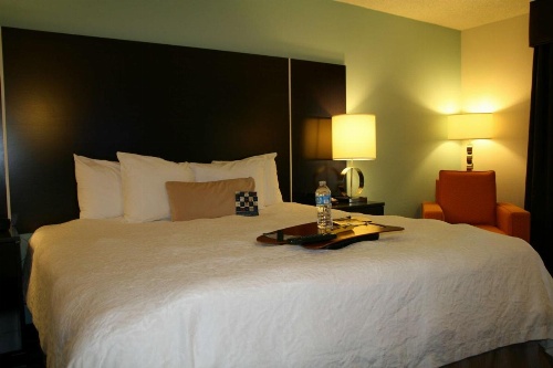 Hampton Inn By Hilton Shreveport Airport, La image 12