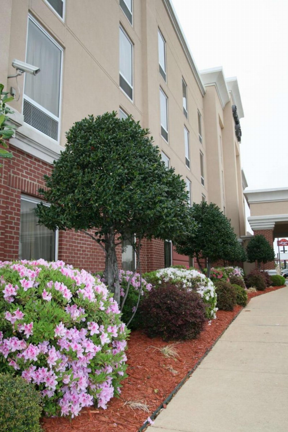 Hampton Inn By Hilton Shreveport Airport, La Image 27