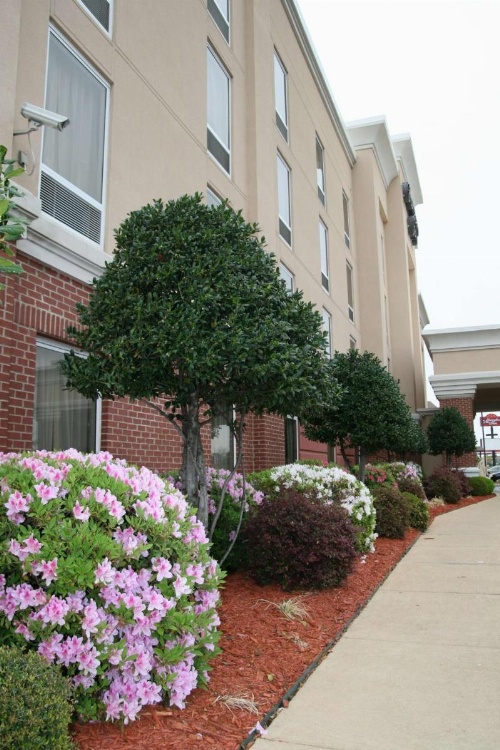 Hampton Inn By Hilton Shreveport Airport, La image 27