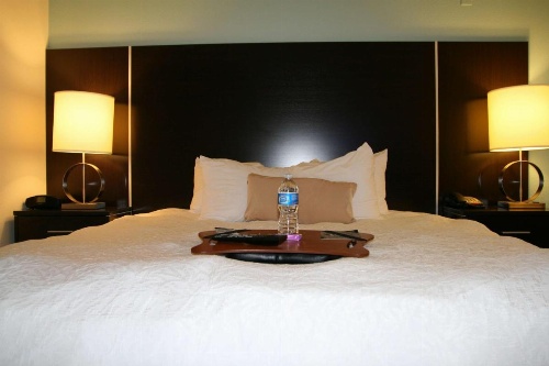Hampton Inn By Hilton Shreveport Airport, La image 37