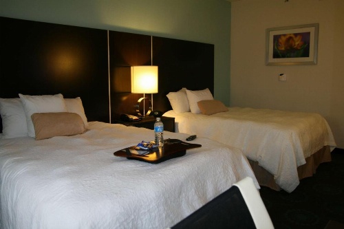 Hampton Inn By Hilton Shreveport Airport, La image 40