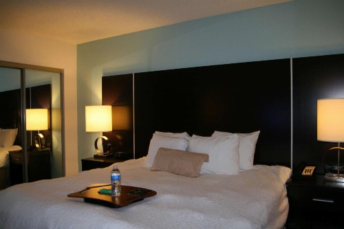 Hampton Inn By Hilton Shreveport Airport, La image 44